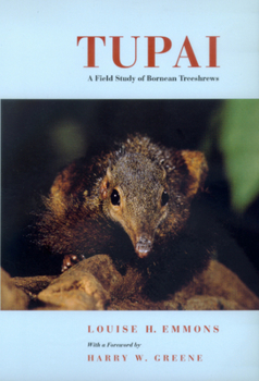 Paperback Tupai: A Field Study of Bornean Treeshrews Volume 2 Book