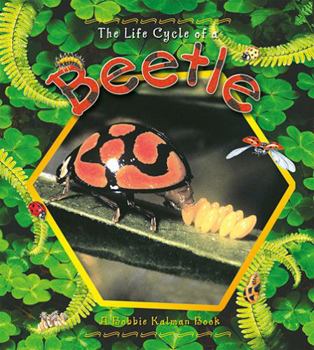 Library Binding Beetle Book
