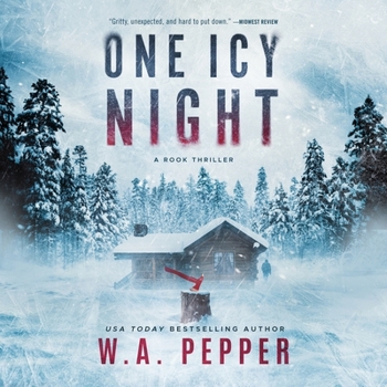 Audio CD One Icy Night: A Rook Thriller Book