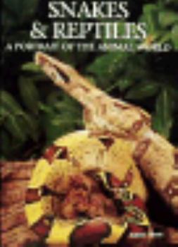Hardcover Snakes & Reptiles: A Portrait of the Animal World Book