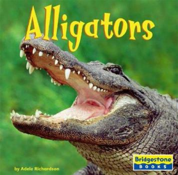 Hardcover Alligators Book