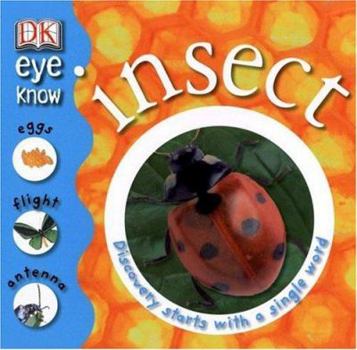 Hardcover Insect Book