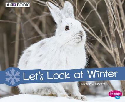 Let's Look at Winter (Pebble Plus) - Book  of the Investigate the Seasons
