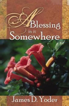 Paperback A Blessing in it Somewhere Book