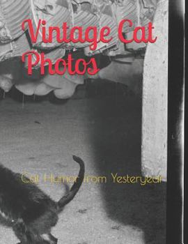 Paperback Vintage Cat Photos: Cat Humor from Yesteryear Book