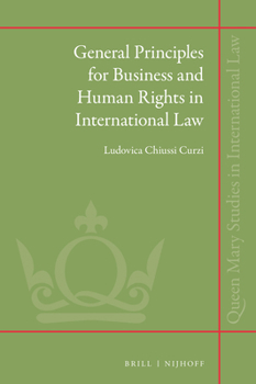 Hardcover General Principles for Business and Human Rights in International Law Book