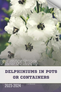 Delphiniums in Pots or Containers: Become flowers expert