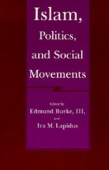 Paperback Islam, Politics, and Social Movements Book