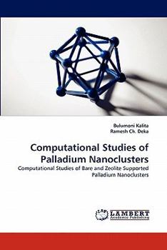 Paperback Computational Studies of Palladium Nanoclusters Book