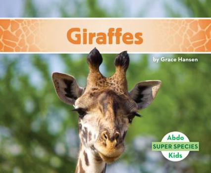 Giraffes - Book  of the Super Species