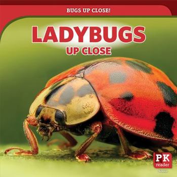 Paperback Ladybugs Up Close Book