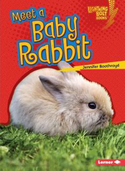 Meet a Baby Rabbit - Book  of the Baby Farm Animals