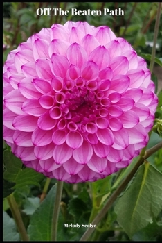 Paperback Off The Beaten Path: Share Your Thoughts Journal Book