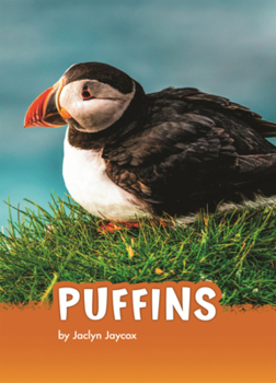 Puffins