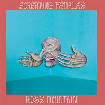 Vinyl Rose mountain (limited edition turquoise vinyl) Book