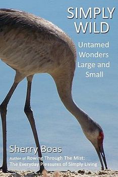 Simply Wild: Untamed Wonders Large and Small