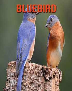 Paperback Bluebird: Fun Learning Facts About Bluebird Book