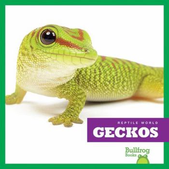 Geckos - Book  of the Reptile World