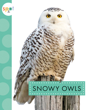 Library Binding Snowy Owls Book