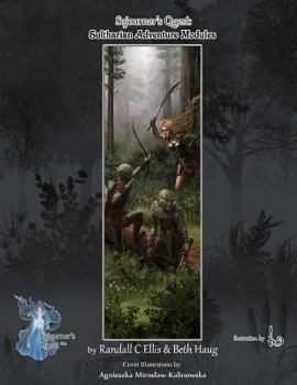 Paperback Sojourner's Quest: Sultharian Adventure Modules Book