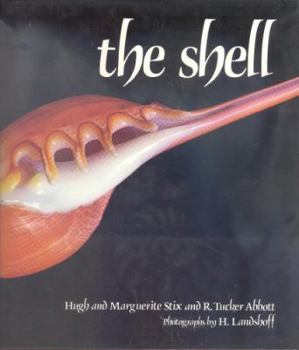 Hardcover THE SHELL Book