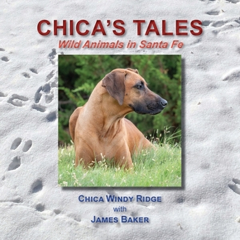 Paperback Chica's Tales, Wild Animals in Santa Fe Book