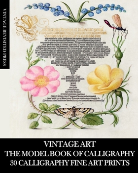 Paperback Vintage Art: The Model Book of Calligraphy: 30 Calligraphy Fine Art Prints Book