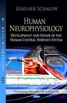 Hardcover Human Neurophysiology: Development and Repair of the Human Central Nervous System (Neuroanatomy Research at the Leading Edge; Neuroscience Research Progress) Book