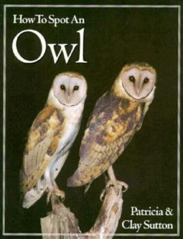 Paperback How to Spot an Owl Book