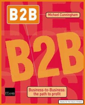 Paperback B2B: Business to Business: The Path to Profit (FT) Book