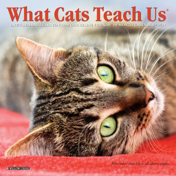 Calendar What Cats Teach Us 2021 Mini Wall Calendar Book
