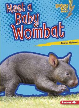 Paperback Meet a Baby Wombat Book