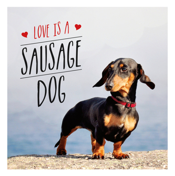 Hardcover Love Is a Sausage Dog Book