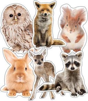 Misc. Supplies Woodland Whimsy Animals Cut-Outs Book