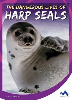 Library Binding The Dangerous Lives of Harp Seals Book