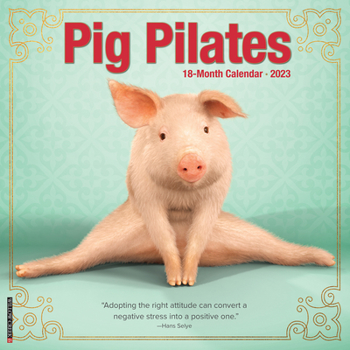 Calendar Pig Pilates 2023 Wall Calendar Book