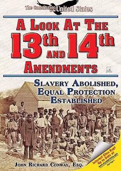 A Look at the Thirteenth and Fourteenth Amendments: Slavery Abolished, Equal Protection Established (The Constitution of the United States) - Book  of the Constitution of the United States