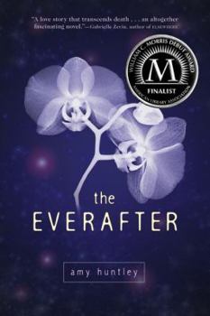 Hardcover The Everafter Book