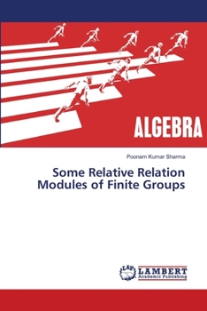 Paperback Some Relative Relation Modules of Finite Groups Book