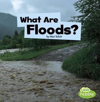 Paperback What Are Floods? Book