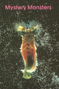Mystery Monsters