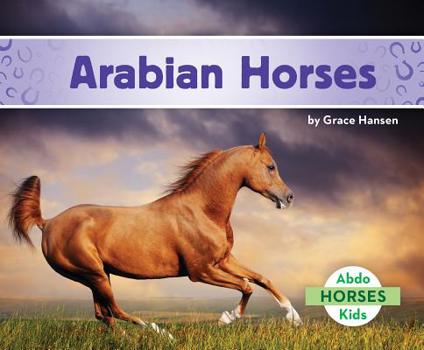 Library Binding Arabian Horses Book