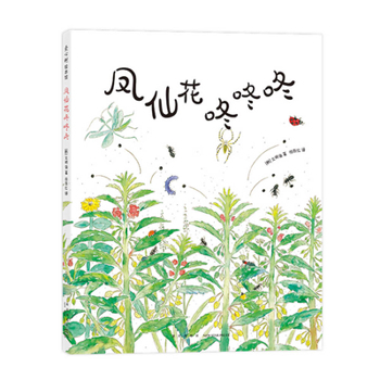 Paperback Bromeliad Dum Dum Dum [Chinese] Book