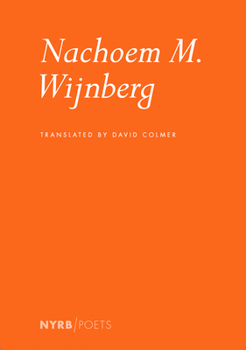 Paperback Nachoem M. Wijnberg Book