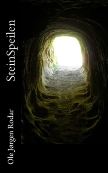 Paperback Steinspeilen [Norwegian] Book