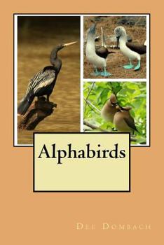 Paperback Alphabirds Book