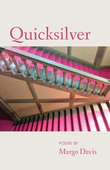 Paperback Quicksilver Book