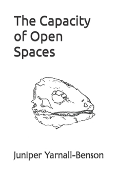Paperback The Capacity of Open Spaces Book