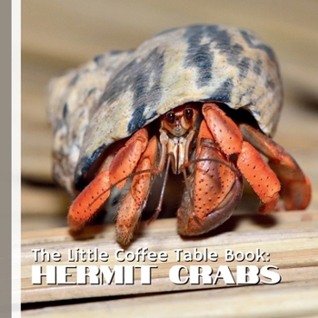 The Little Coffee Table Book: Hermit Crabs: 75 captivating facts that explore the world of hermit crabs—from their shell-swapping adventures and ... behavior and vital role in the ecosystem.