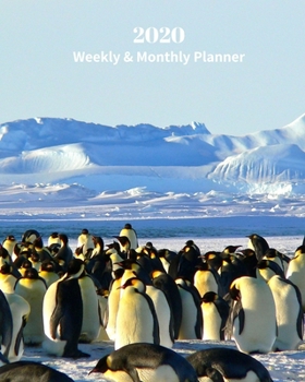 Paperback 2020 Weekly and Monthly Planner: Penguin Family - Monthly Calendar with U.S./UK/ Canadian/Christian/Jewish/Muslim Holidays- Calendar in Review/Notes 8 Book